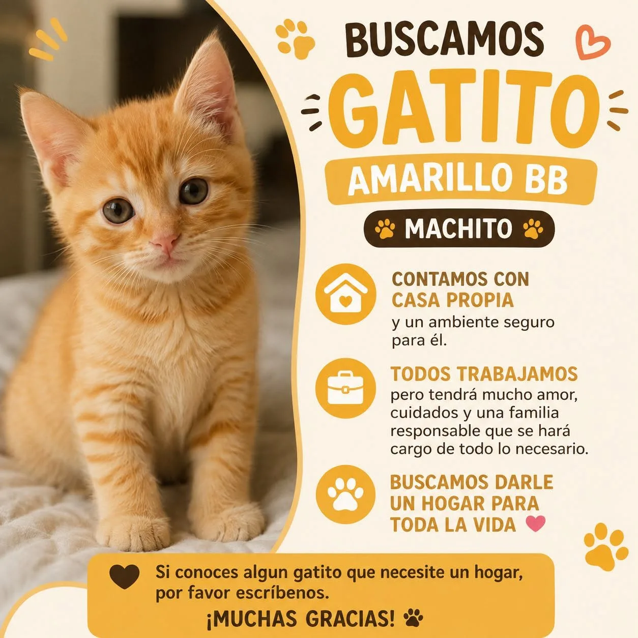 Foto de Pinino