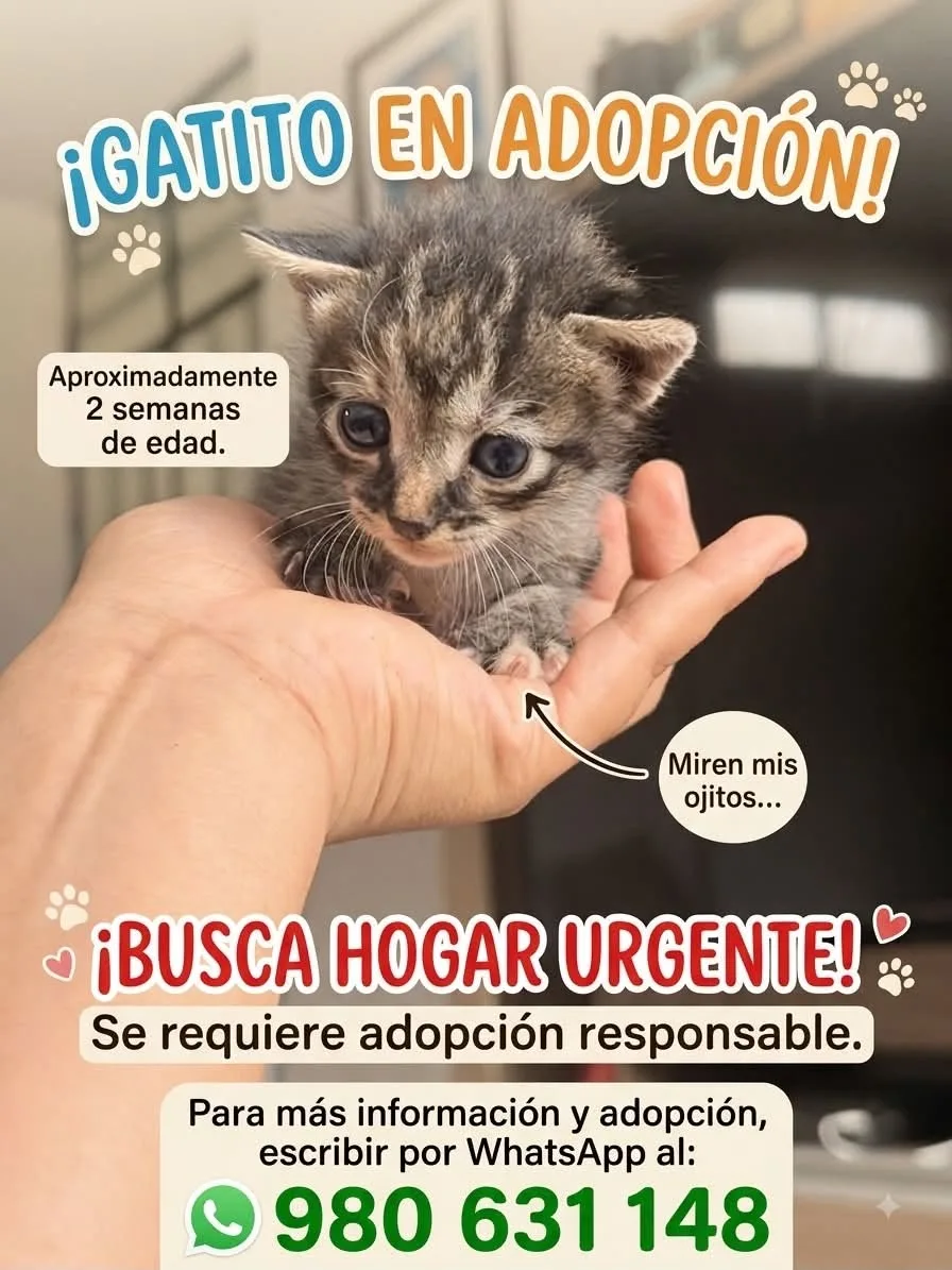 Foto de Pinino