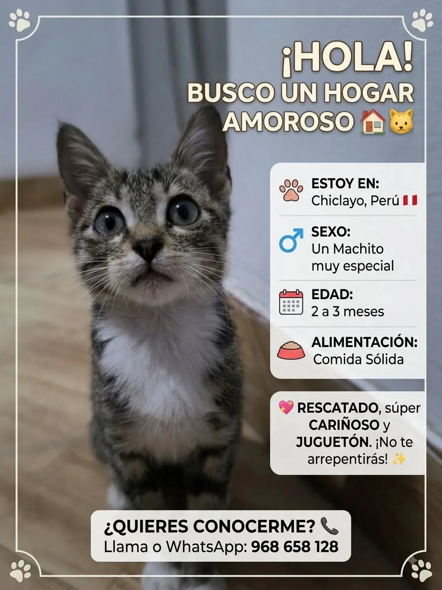 Foto de Pinino