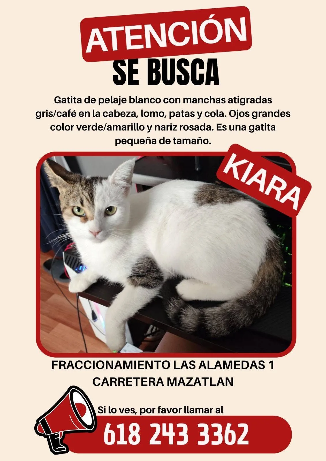 Foto de Pinino
