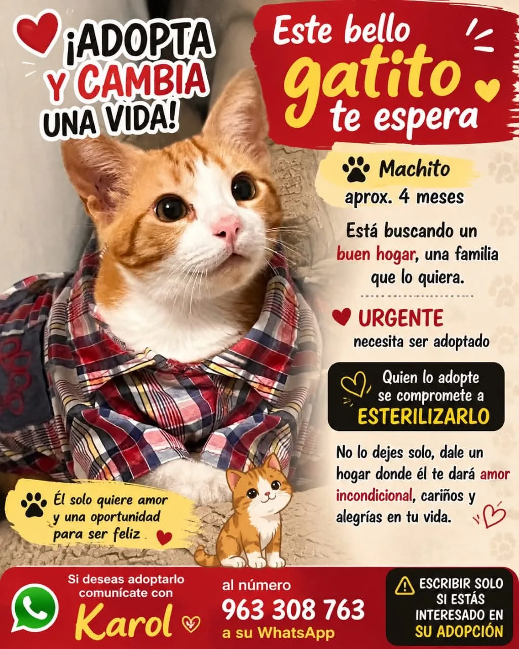 Foto de PINGUINA